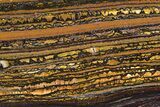 Polished Tiger Iron Stromatolite Slab - Billion Years #222080-1